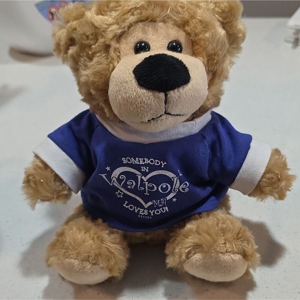 Walpole "Somebody in Walpole Loves You" Plush Teddy Bear Blue Shirt 5-10 in